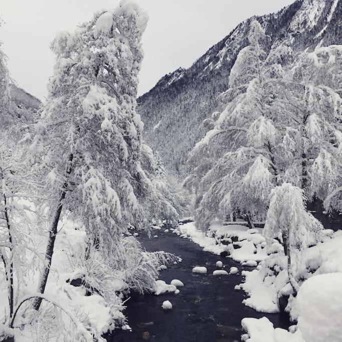 Chalet De Charme A Saint Lary - Vignec エクステリア 写真